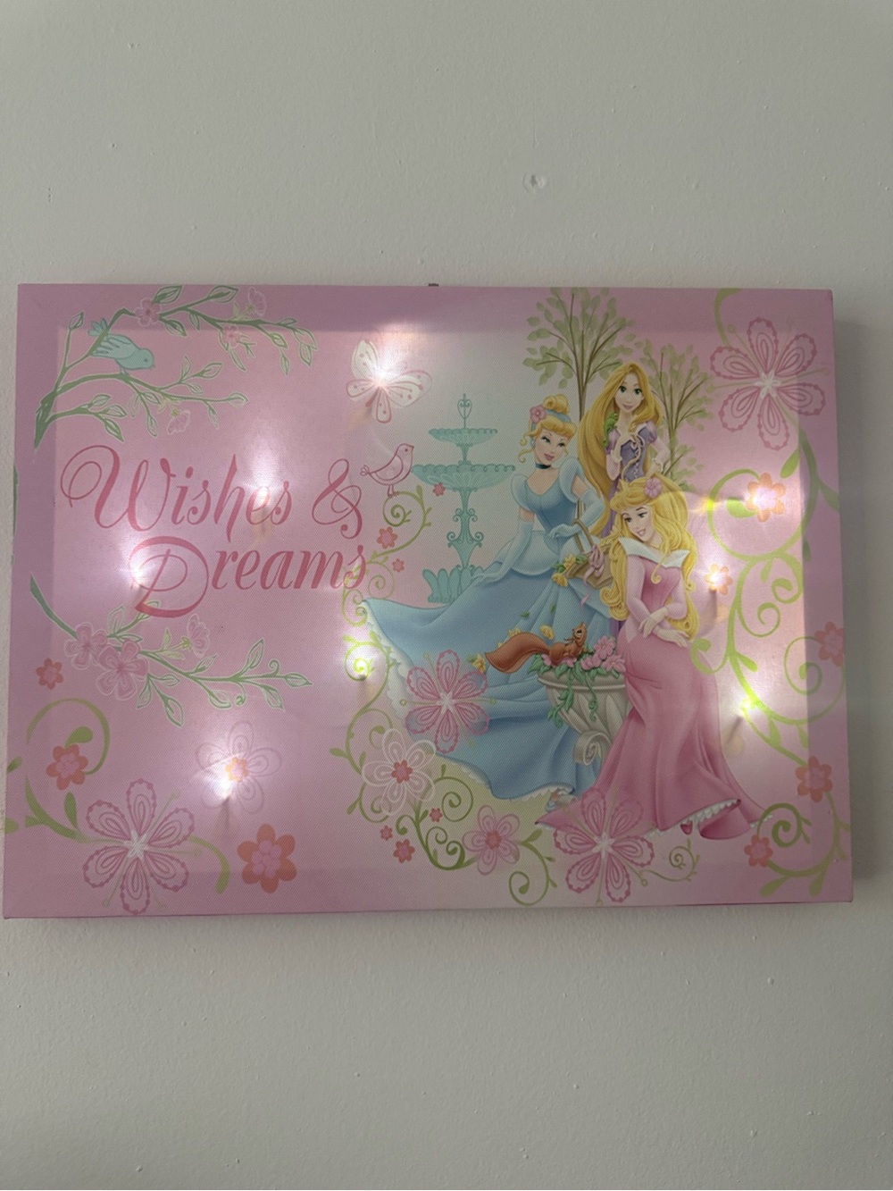 Light up Pink "Wishes & Dreams" Disney Princess Wall Art